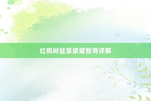 红枫树盆景拔擢智商详解