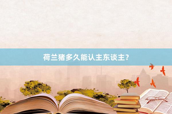 荷兰猪多久能认主东谈主？